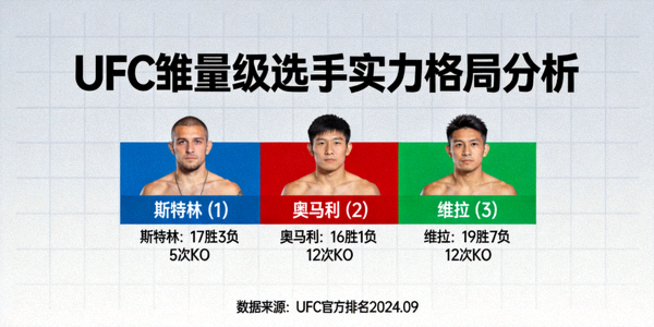 UFC雏量级选手实力格局分析图 - 展示奥马利、维拉、斯特林等顶尖选手的排名关系